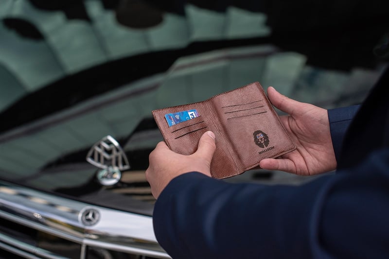 Software Wallets